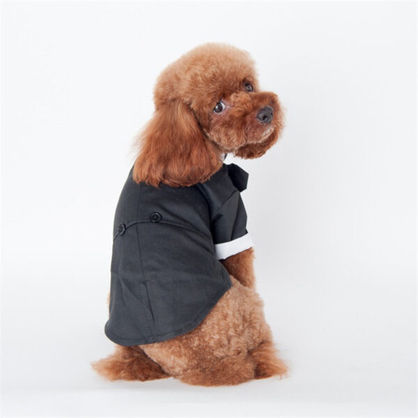 Teddy clothes for dog - Image 3