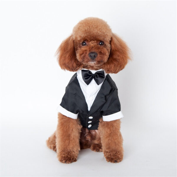 Teddy clothes for dog - Image 2